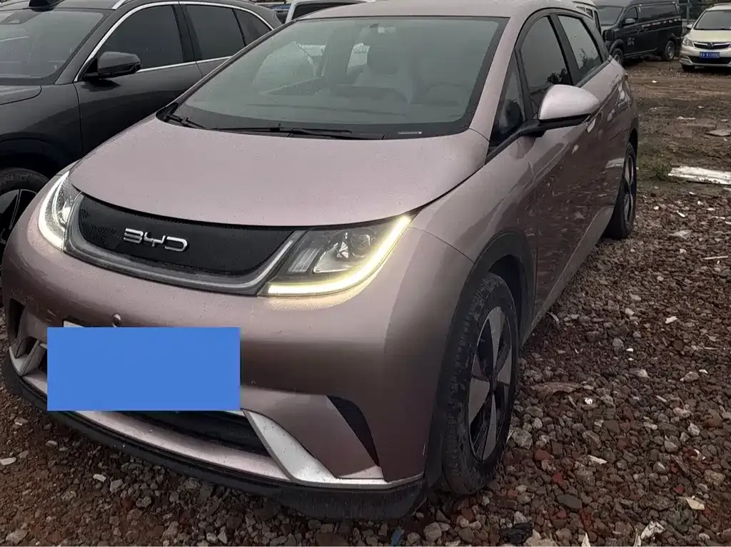 2023 BYD Dolphin 420km Freedom