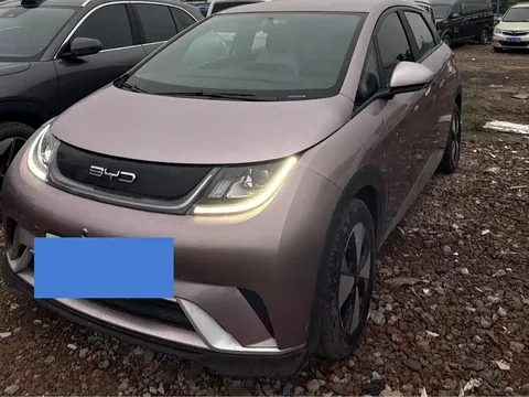 2023 BYD Dolphin 420km Freedom