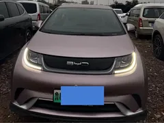 2023 BYD Dolphin 420km Freedom — фото 2