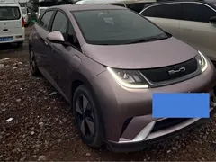 2023 BYD Dolphin 420km Freedom — фото 3