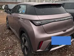 2023 BYD Dolphin 420km Freedom — фото 7