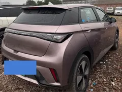 2023 BYD Dolphin 420km Freedom — фото 9