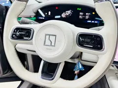 2025 Zeekr 7X 100kWh Long Range RWD Smart Driving, чёрный — фото 44