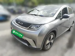 2023 BYD Dolphin 420km Fashion — фото 1