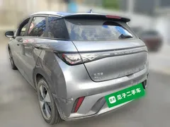 2023 BYD Dolphin 420km Fashion — фото 4