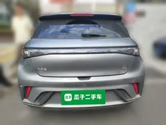 2023 BYD Dolphin 420km Fashion — фото 5
