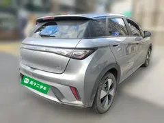 2023 BYD Dolphin 420km Fashion — фото 6