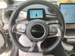 2023 BYD Dolphin 420km Fashion — фото 11