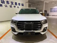 2021 Haval H6 1.5T AT Guochao Urban, белый — фото 2
