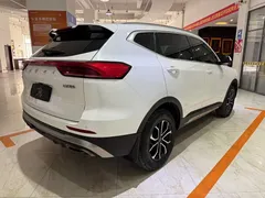 2021 Haval H6 1.5T AT Guochao Urban, белый — фото 4