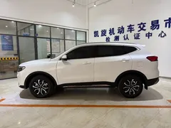 2021 Haval H6 1.5T AT Guochao Urban, белый — фото 7