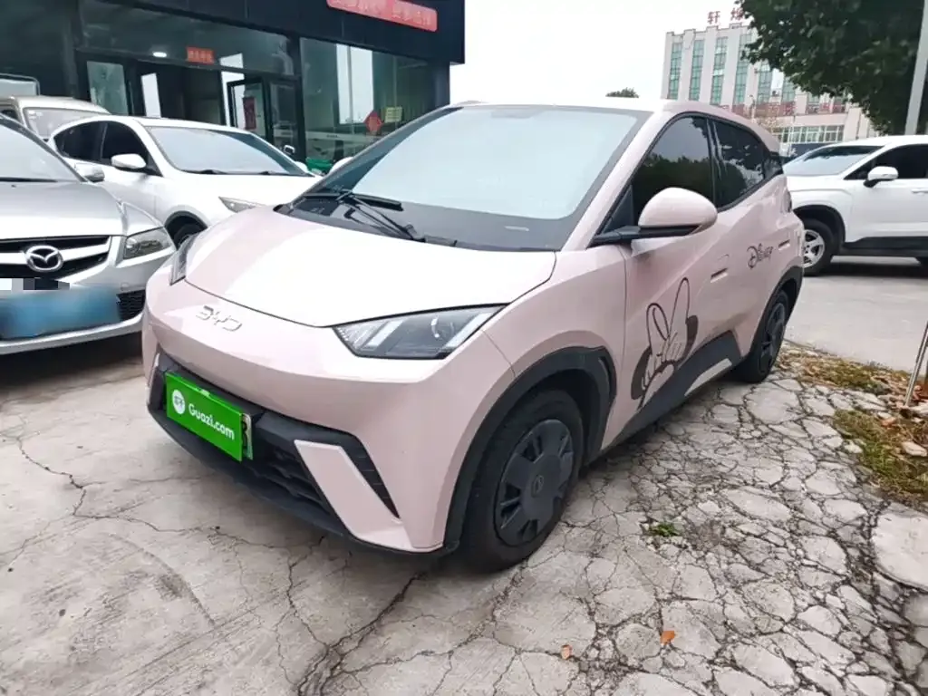 2024 BYD Seagull Honor 305km Vitality