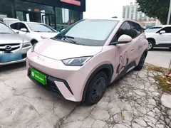 2024 BYD Seagull Honor 305km Vitality — фото 1