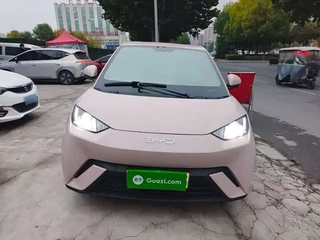 2024 BYD Seagull Honor 305km Vitality