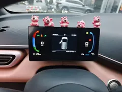 2024 BYD Seagull Honor 305km Vitality — фото 12