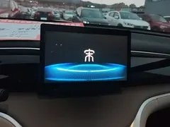 2024 BYD Song Pro Honor DM-i PHEV 71km Navigator, белый — фото 13