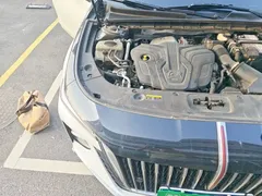 2023 Hongqi H5 2.0T AT Smart Connect — фото 20