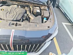 2023 Hongqi H5 2.0T AT Smart Connect — фото 21