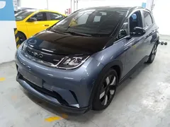 2023 BYD Dolphin 401km Knight — фото 2