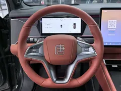 2025 BYD Tang L PHEV 175km Drone Edition — фото 5