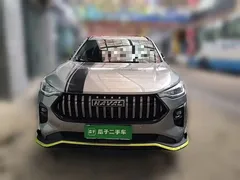 2021 Haval Chitu 1.5T Jiqing Platinum Rabbit — фото 2