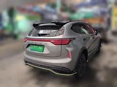 2021 Haval Chitu 1.5T Jiqing Platinum Rabbit — фото 4