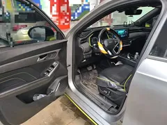 2021 Haval Chitu 1.5T Jiqing Platinum Rabbit — фото 12