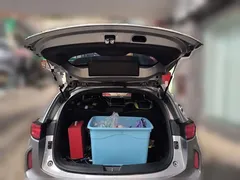 2021 Haval Chitu 1.5T Jiqing Platinum Rabbit — фото 15