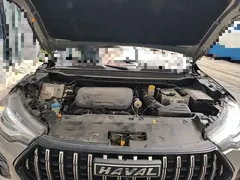 2021 Haval Chitu 1.5T Jiqing Platinum Rabbit — фото 16