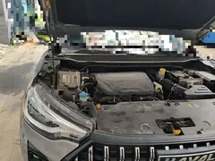 2021 Haval Chitu 1.5T Jiqing Platinum Rabbit — фото 20