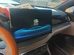 2025 BYD Tang PHEV DM-i 115KM Smart Driving Premium, белый — фото 13