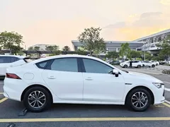 2024 BYD Qin PLUS Honor DM-i PHEV 55km Leading, белый — фото 5