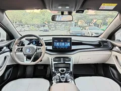 2024 BYD Qin PLUS Honor DM-i PHEV 55km Leading, белый — фото 10