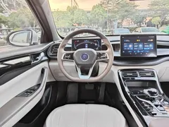 2024 BYD Qin PLUS Honor DM-i PHEV 55km Leading, белый — фото 11