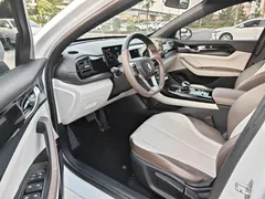 2024 BYD Qin PLUS Honor DM-i PHEV 55km Leading, белый — фото 16