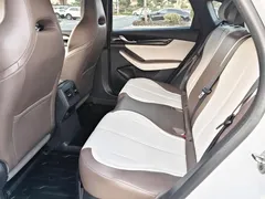 2024 BYD Qin PLUS Honor DM-i PHEV 55km Leading, белый — фото 17