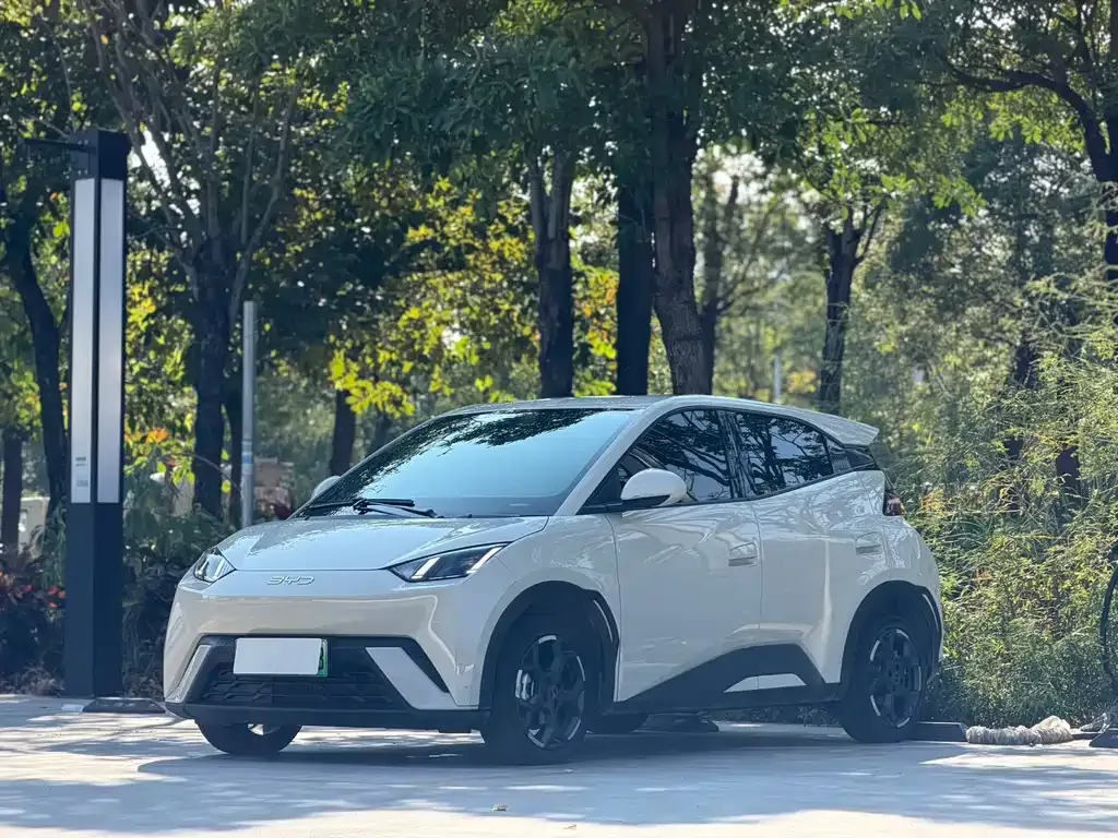 2025 BYD Seagull 305km Freedom
