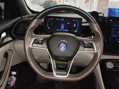 2023 BYD Qin PLUS Champion DM-i PHEV 55KM Leading, чёрный — фото 11