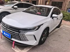 2024 BYD Destroyer 05 DM-i PHEV 55km Luxury, белый — фото 1