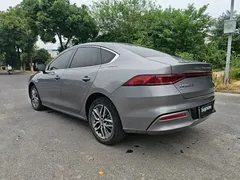 2023 BYD Qin PLUS Champion EV 420km — фото 7