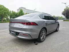 2023 BYD Qin PLUS Champion EV 420km — фото 8