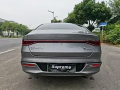 2023 BYD Qin PLUS Champion EV 420km — фото 9