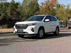 2023 Haval M6 Plus 1.5T MT Elite, белый — фото 1