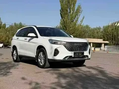 2023 Haval M6 Plus 1.5T MT Elite, белый — фото 3