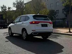 2023 Haval M6 Plus 1.5T MT Elite, белый — фото 4