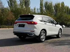 2023 Haval M6 Plus 1.5T MT Elite, белый — фото 6
