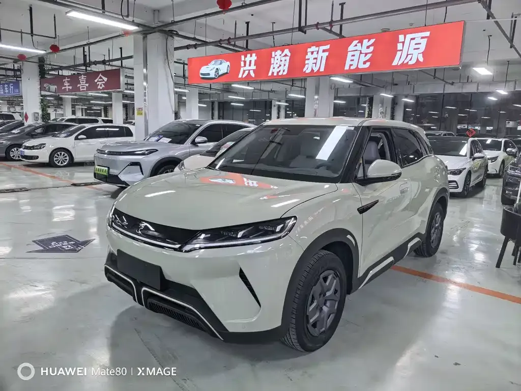 2024 BYD Yuan UP 401km Vitality