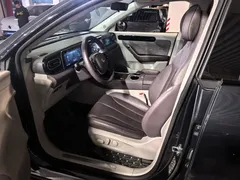 2023 Leapmotor C11 EV 500 Comfort — фото 3