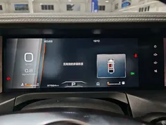 2021 Tank 300 Off-road 2.0T Conqueror — фото 12