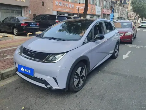 2023 BYD Dolphin 420km Fashion
